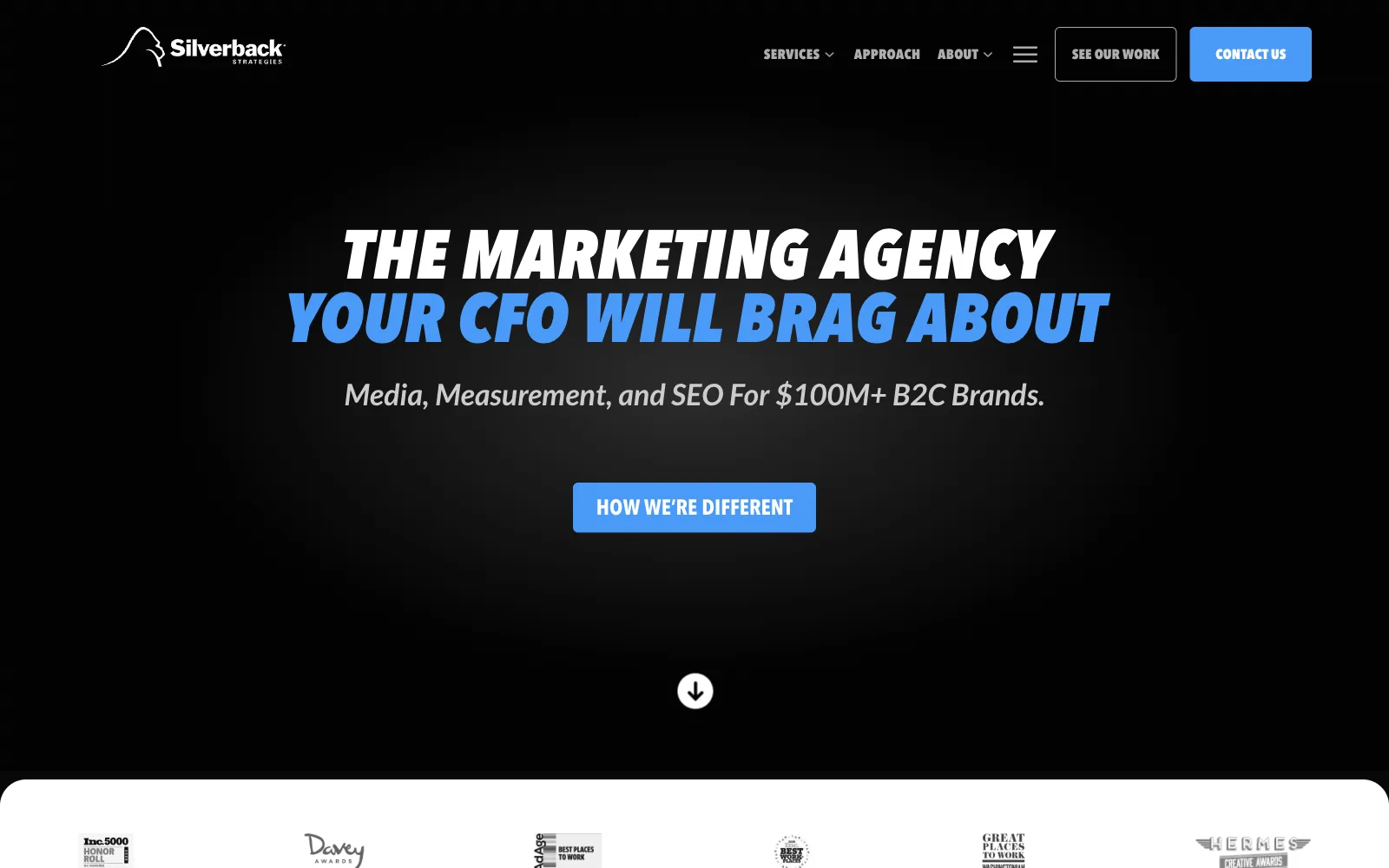 Silverback Strategies website homepage