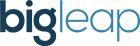 Big Leap logo