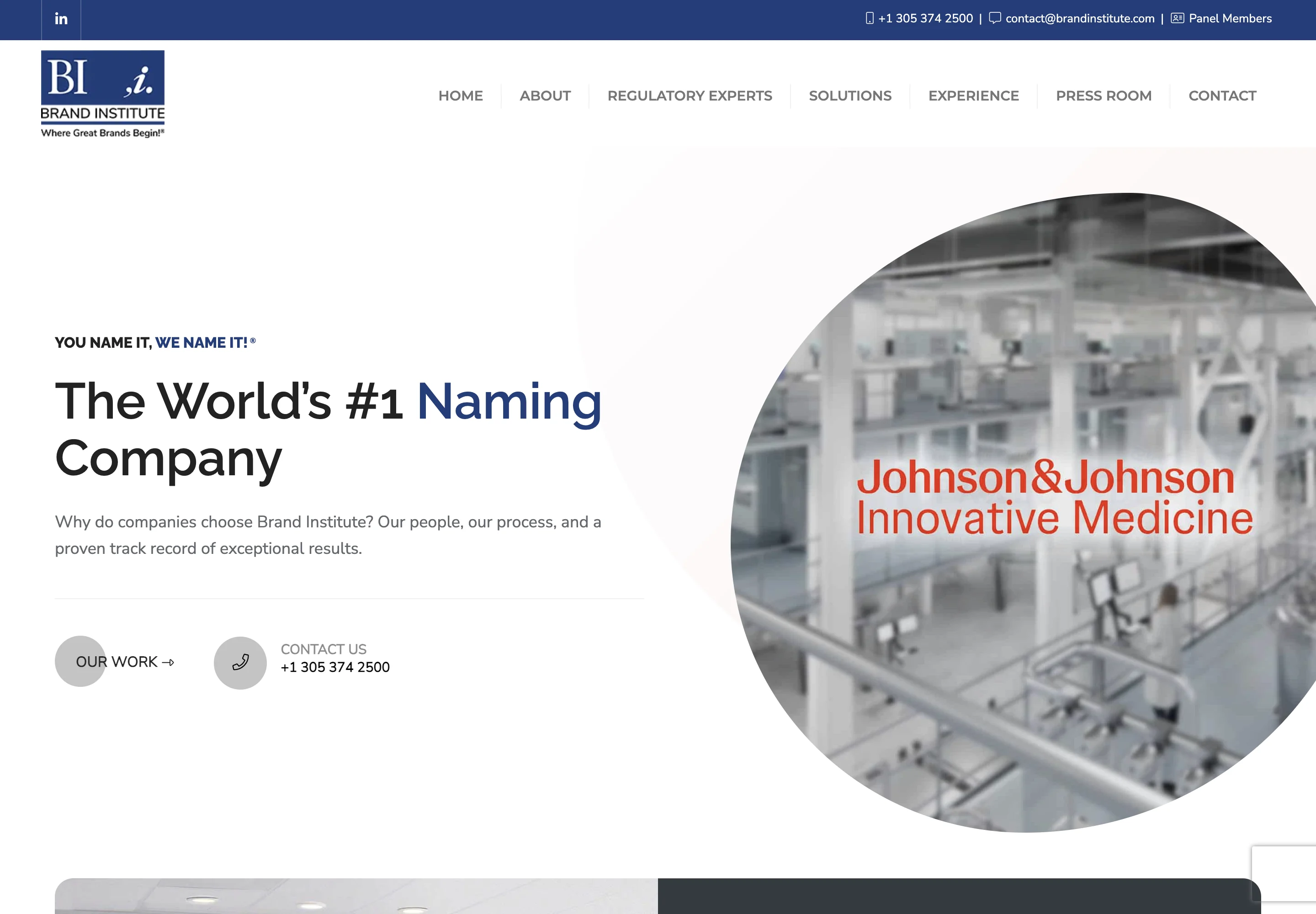 Brand Institute’s official website.