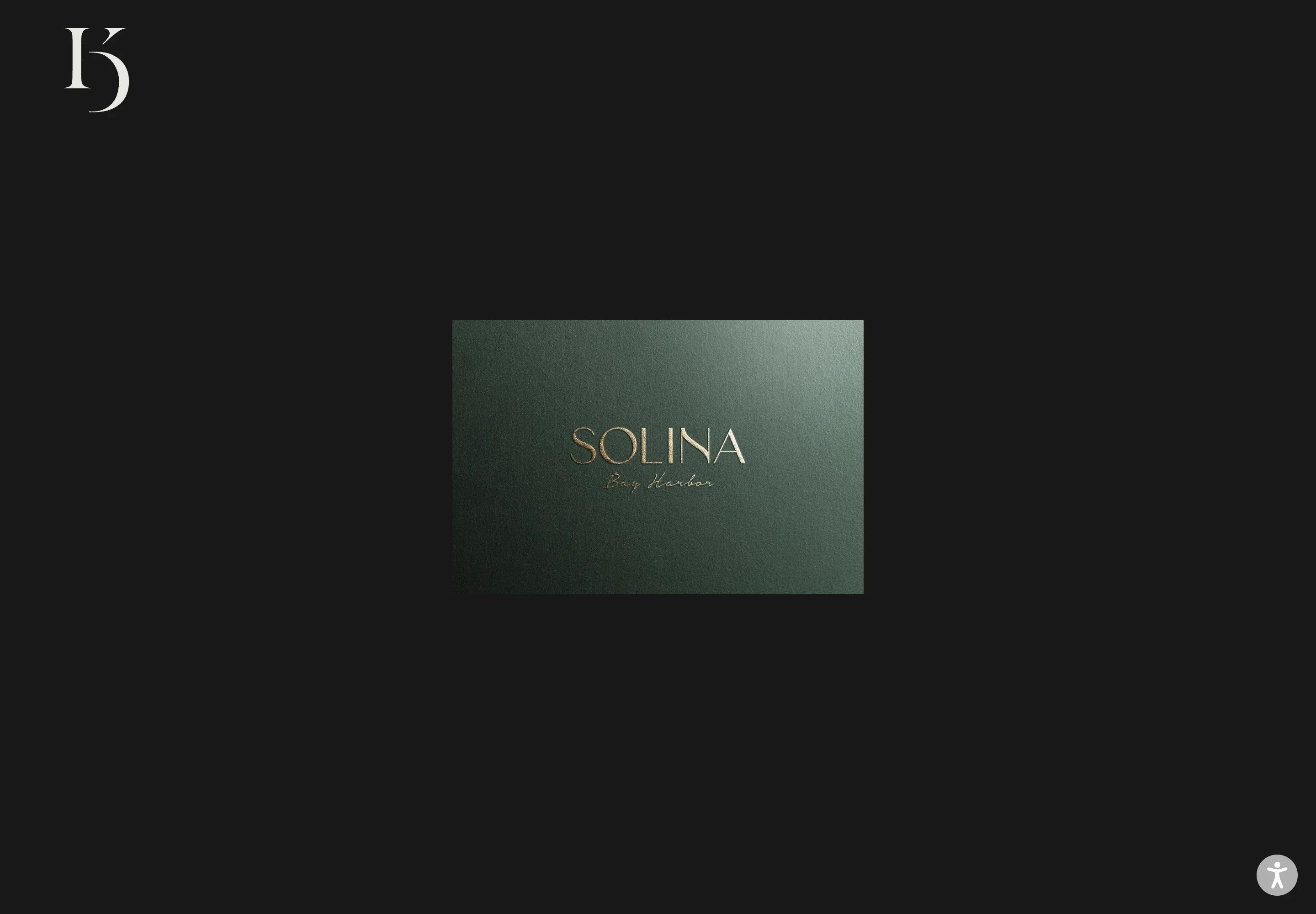 Krinsky Design’s website, featuring its Solina Bay Harbor identity work.