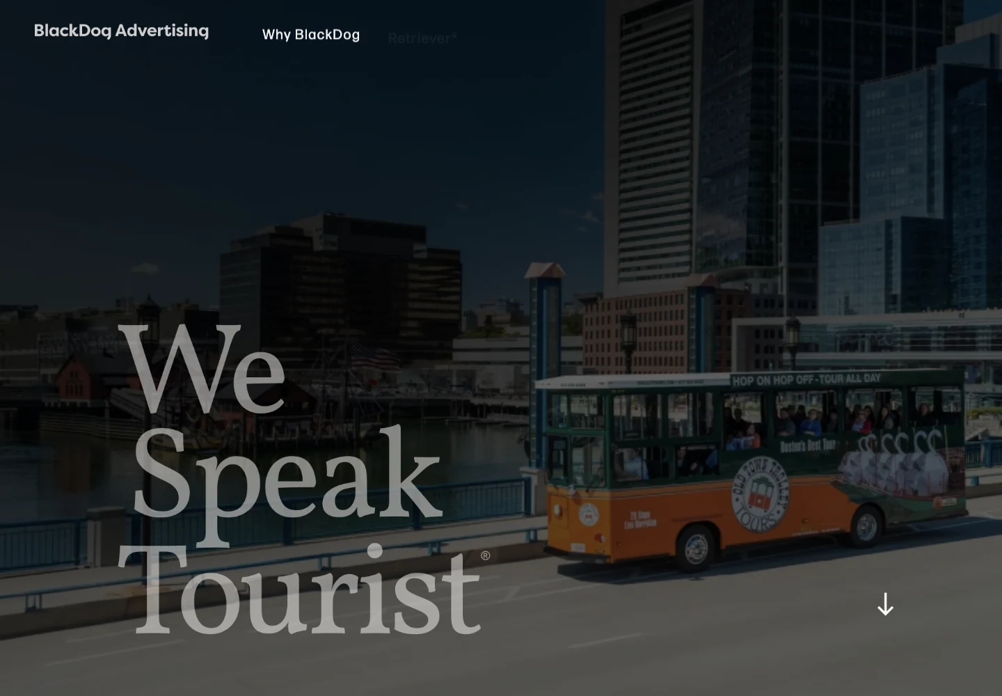 BlackDog Advertising official website