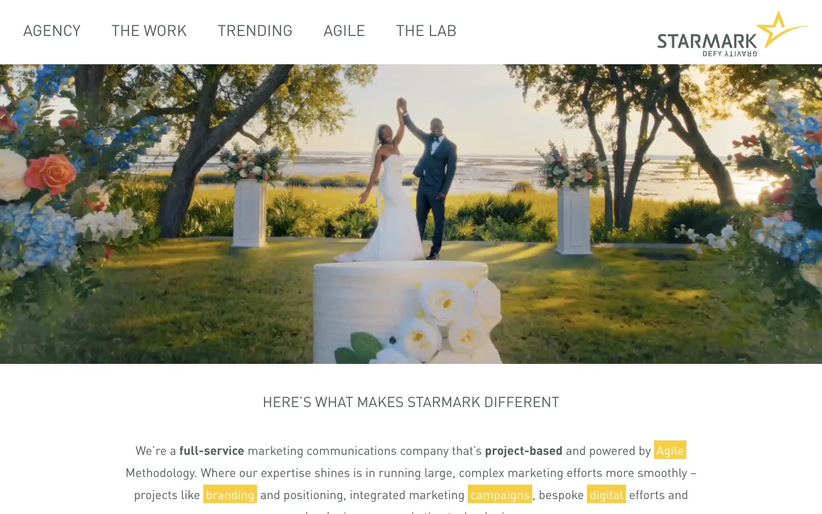 Starmark official website screenshot