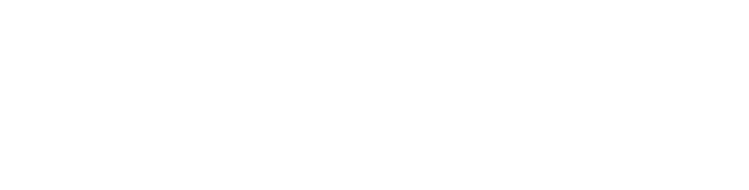 Style Advertising logo