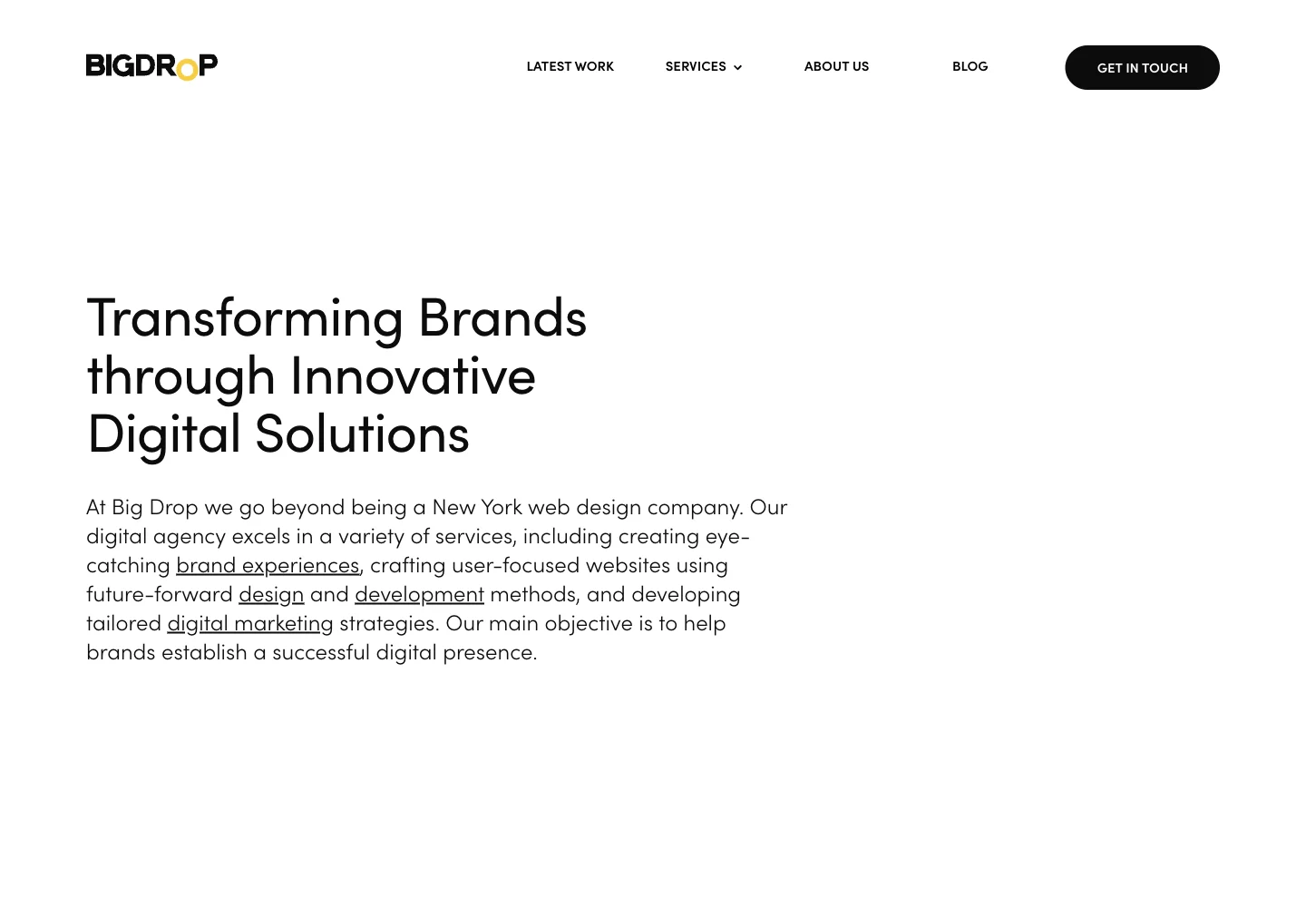 Big Drop Inc. official website showing its services and work