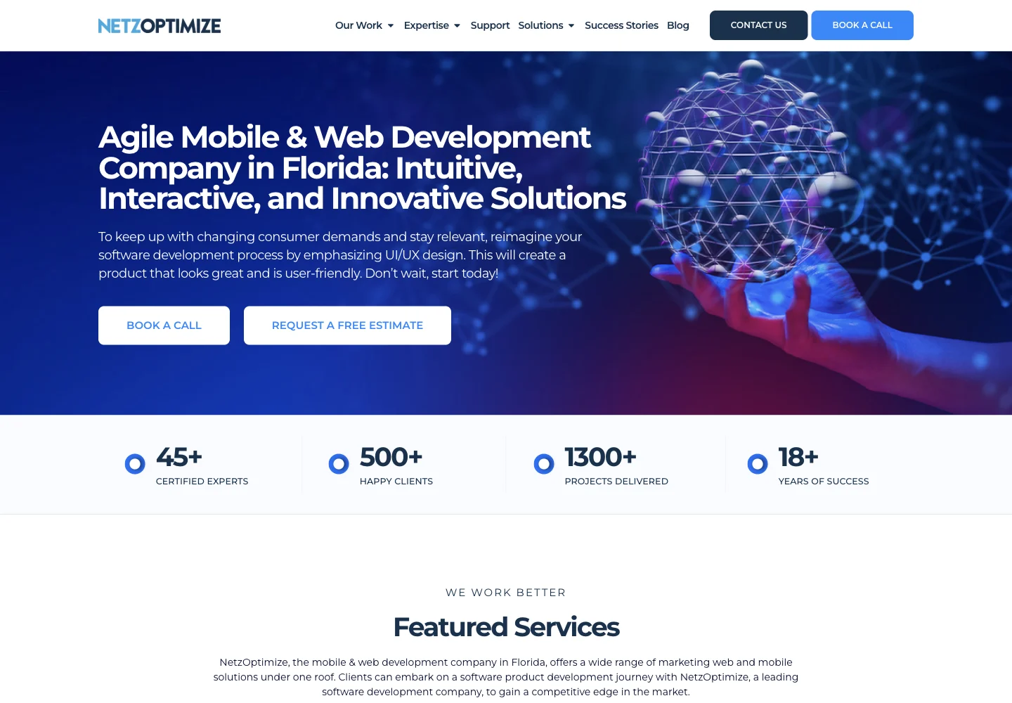 NetzOptimize official website showing its services and work