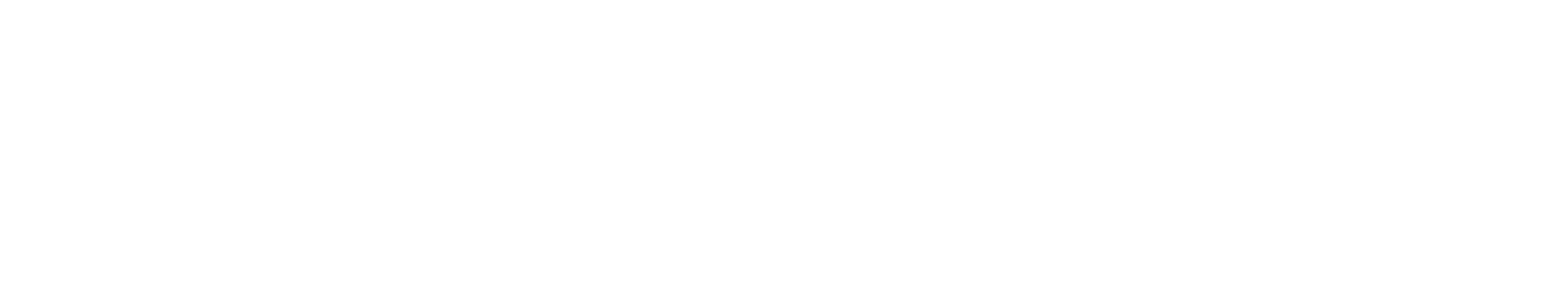 CARCH Solutions logo